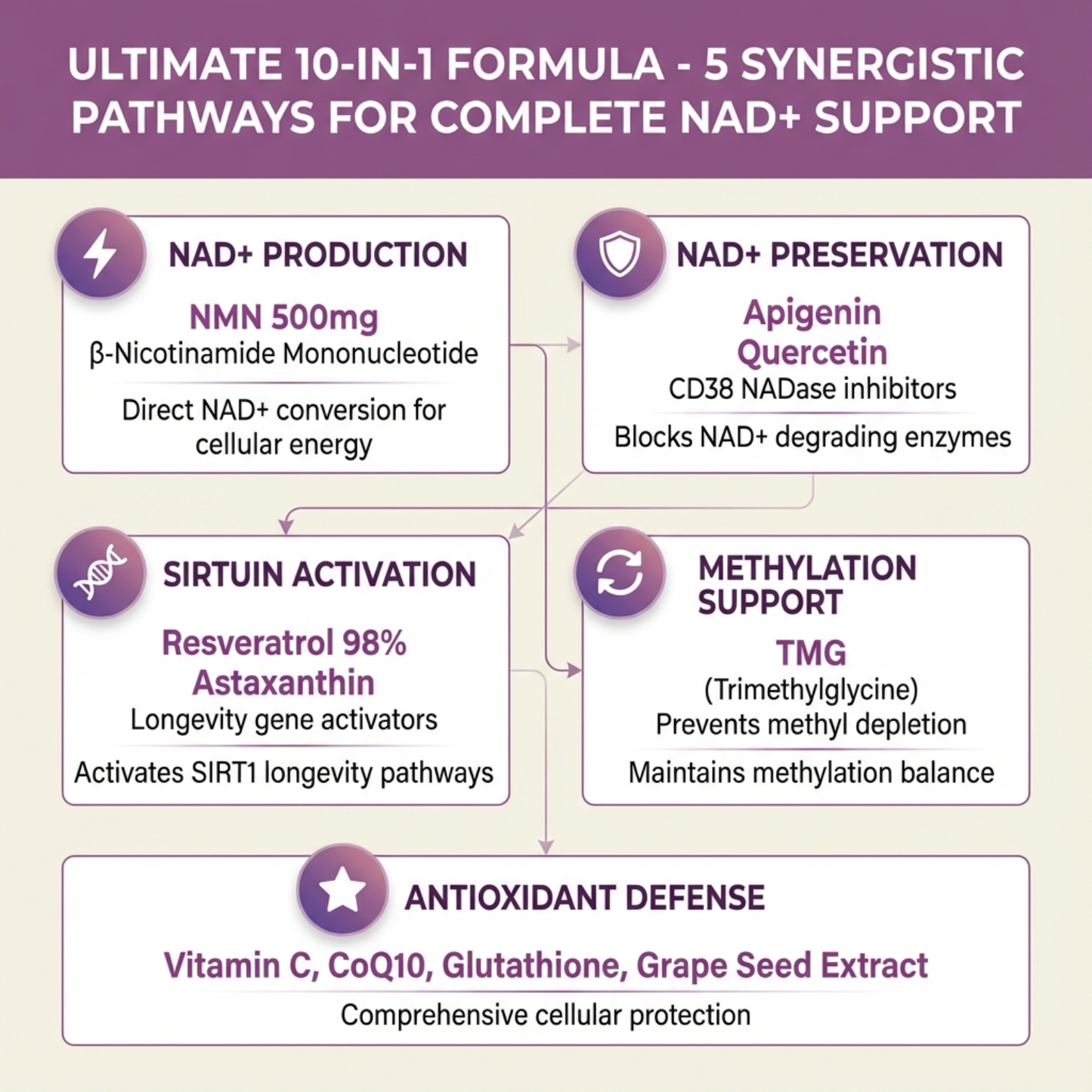 FLORIVA NMN Complex - 10-in-1 Formula