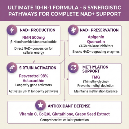 FLORIVA NMN Complex - 10-in-1 Formula
