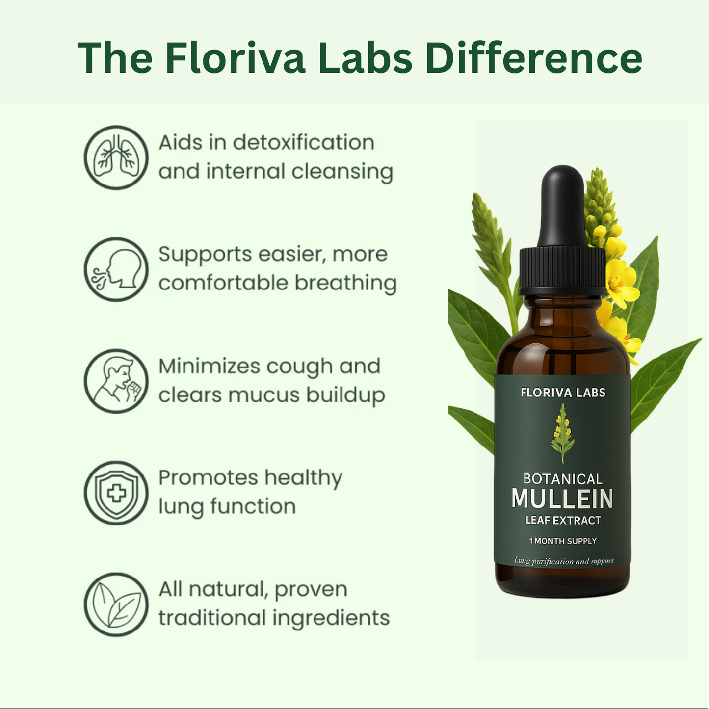 Florivaaa Mullein Leaf Elixir